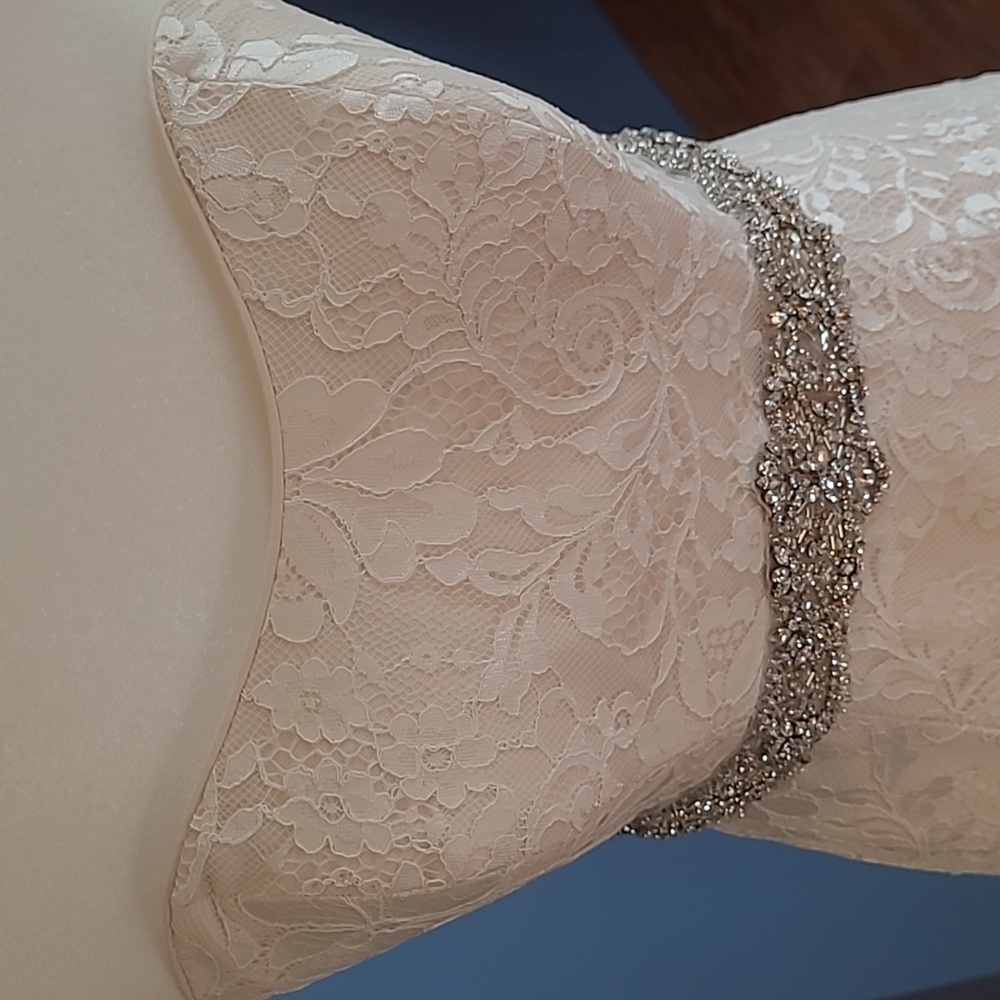 Maggie Sottero wedding gown - Picture 7 of 17